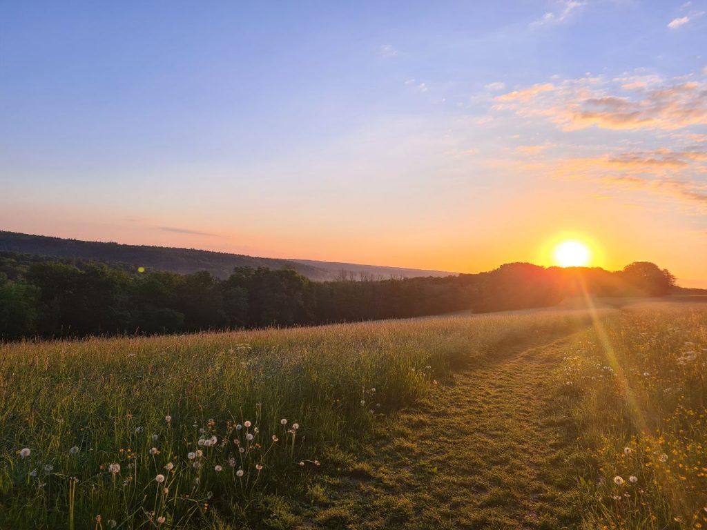 Neujahrsgrüße 2026 von Melanie Ackermann